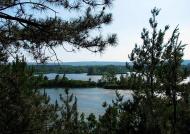 Бузьке - Останні фото