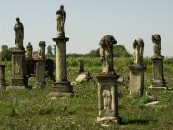 Дарахов - Последние фото