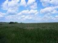 Степове з panoramio.com