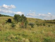 Середняки з panoramio.com