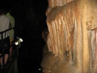 Колхозне з panoramio.com