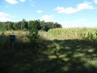 Іваниця - Останні фото