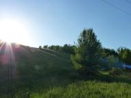 Машівка - Останні фото