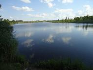 Літки - Останні фото