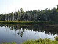 Ліпляве з panoramio.com