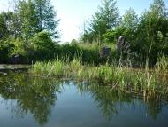 Воргол з panoramio.com