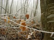 Багате з panoramio.com