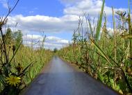 Литовеж з panoramio.com