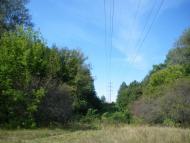 Букине з panoramio.com