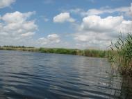 Яськи з panoramio.com