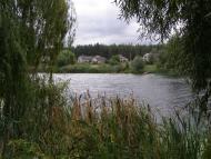 Вербівка - Останні фото