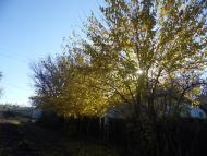 Первомайськ з panoramio.com