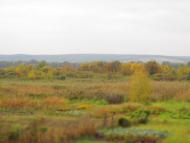 Студенок з panoramio.com