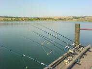 Ведмеже - Останні фото