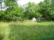 Biletske - Latest photos