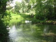 Корнин - Останні фото