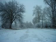 Вольниця з panoramio.com