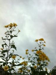 Цюрупинськ з panoramio.com (ч.2)