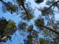 Бузьке - Останні фото