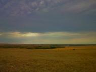 Каштани з panoramio.com