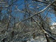 Тарноруда з panoramio.com