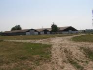 Velyka Mochulka - Latest photos