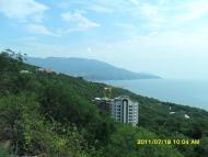 Лівадія з panoramio.com