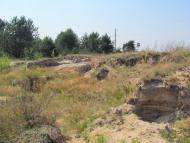 Нетреба - Останні фото