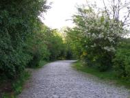 Скаржинка з panoramio.com