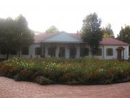 Гоголеве з panoramio.com