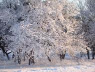 Надержинщина з panoramio.com