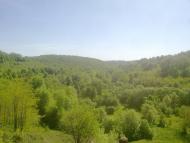 Блищанівка з panoramio.com