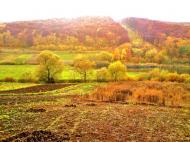 Рогачин з panoramio.com