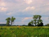 Булахів з panoramio.com