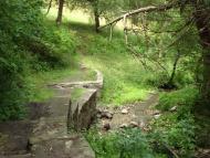 Оріхівка з panoramio.com