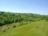 Блищанівка з panoramio.com