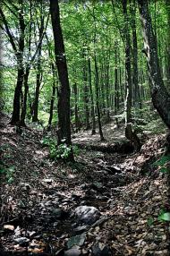 Анталовці з panoramio.com