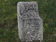 Тарноруда - Останні фото