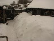 Воргол - Последние фото