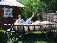 Підлісне з panoramio.com