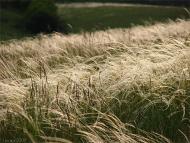 Жовтневе - Останні фото