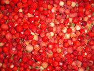 Городище з panoramio.com