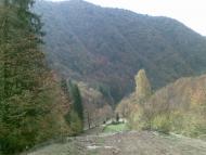 Красна з panoramio.com