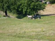 Острів з panoramio.com