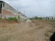 Сичавка з panoramio.com