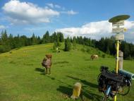 Згари з panoramio.com