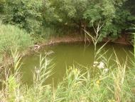 Новый Донбасс - Последние фото