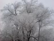 Софіївський з panoramio.com