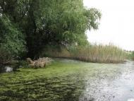 Яськи з panoramio.com