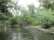 Яськи з panoramio.com